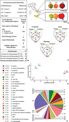 Multi-omic characterisation as a tool to improve knowledge, valorisation and conservation of wild fruit genetic resources: the case of Arbutus unedo L